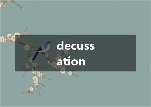 decussation是什么意思