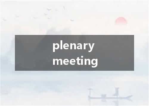 plenary meeting是什么意思