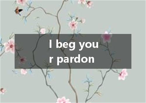 I beg your pardon是什么意思