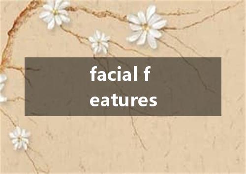 facial features是什么意思