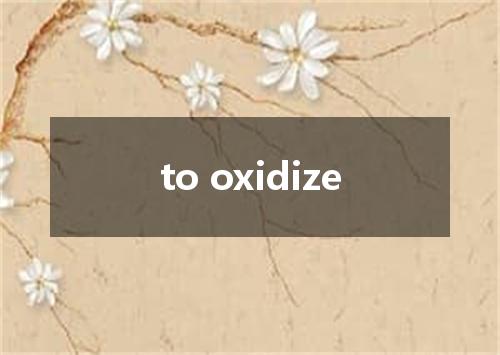 to oxidize是什么意思
