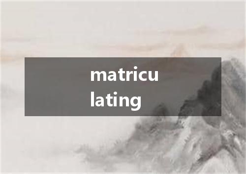 matriculating是什么意思