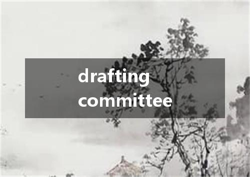 drafting committee是什么意思
