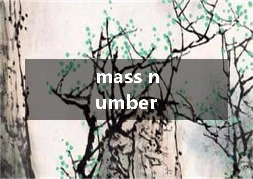 mass number是什么意思