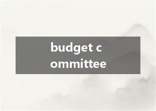 budget committee是什么意思