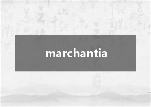 marchantia是什么意思
