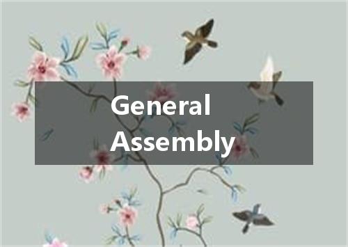General Assembly是什么意思