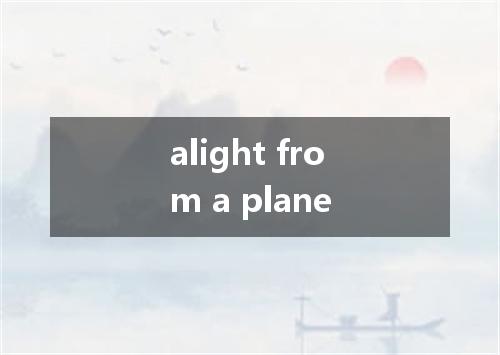 alight from a plane是什么意思