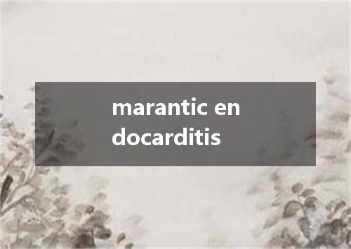 marantic endocarditis是什么意思