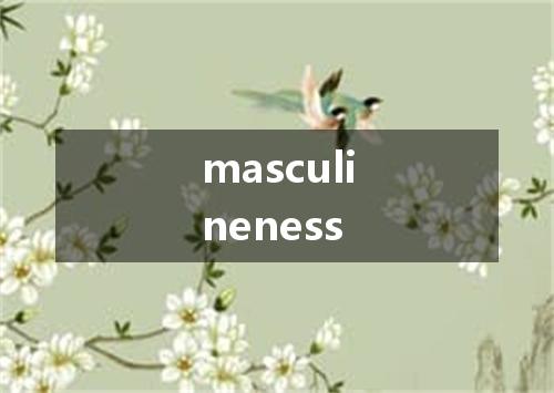 masculineness是什么意思