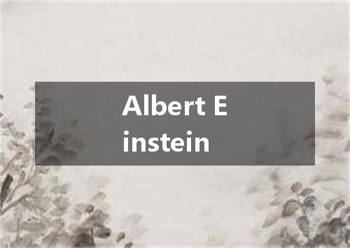 Albert Einstein是什么意思
