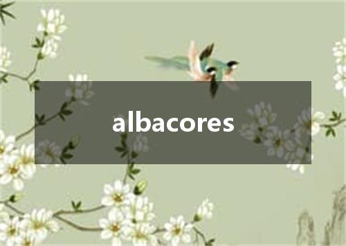 albacores是什么意思