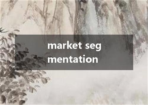 market segmentation是什么意思