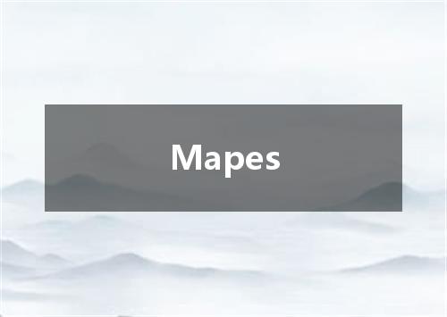 Mapes是什么意思