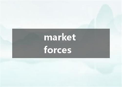 market forces是什么意思