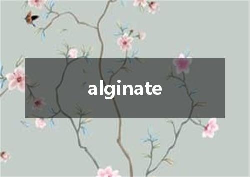alginate是什么意思