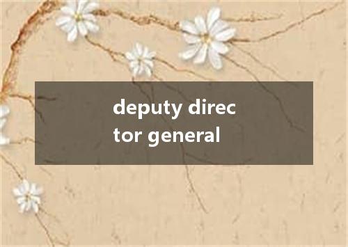 deputy director general是什么意思