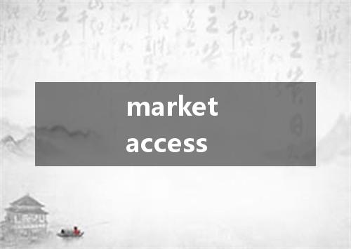 market access是什么意思