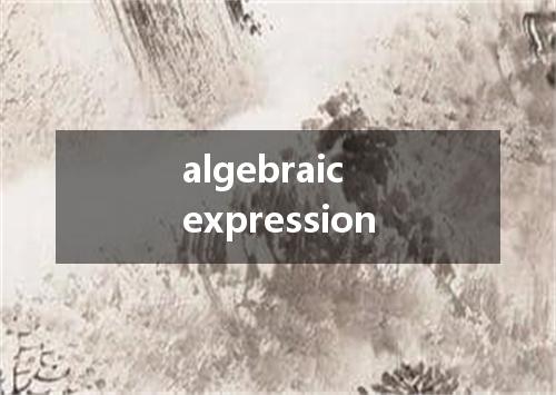 algebraic expression是什么意思