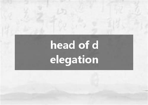 head of delegation是什么意思