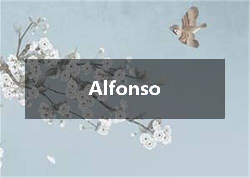 Alfonso是什么意思