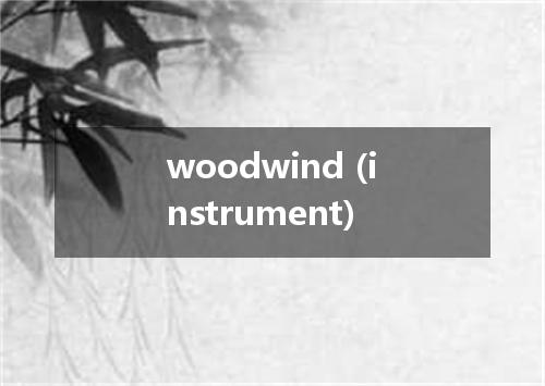 woodwind (instrument)是什么意思