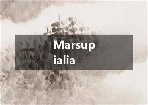 Marsupialia是什么意思