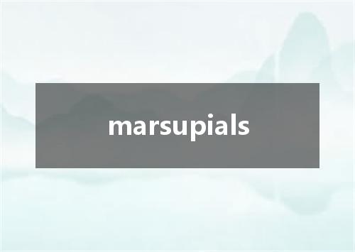 marsupials是什么意思