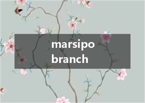 marsipobranch是什么意思