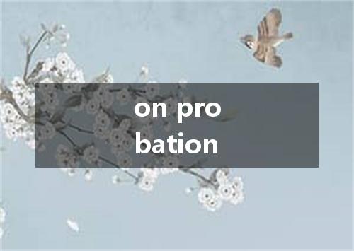 on probation是什么意思