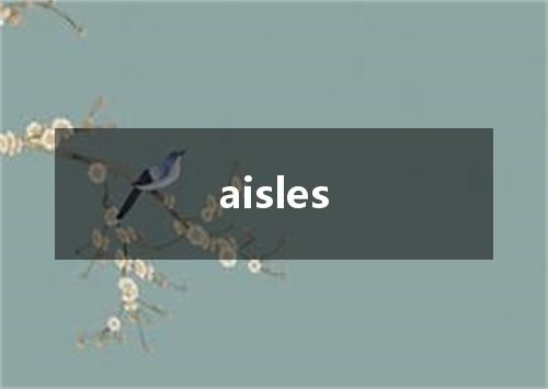 aisles是什么意思