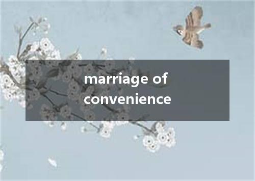 marriage of convenience是什么意思