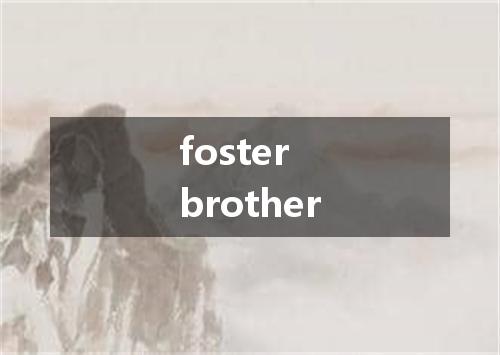 foster brother是什么意思