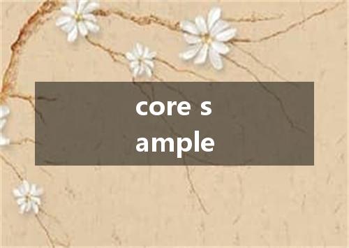 core sample是什么意思