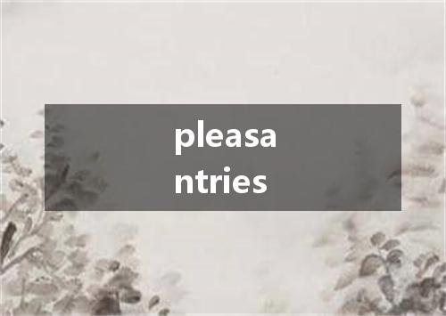 pleasantries是什么意思