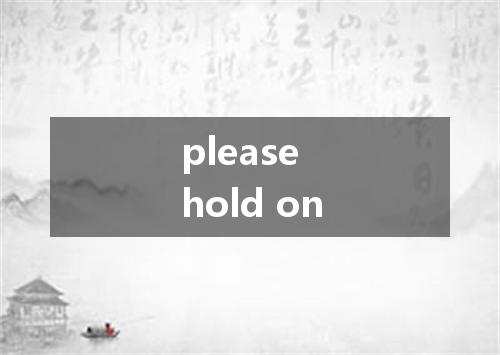 please hold on是什么意思
