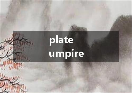 plate umpire是什么意思