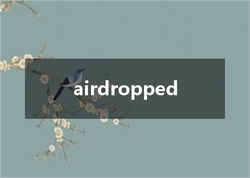 airdropped是什么意思