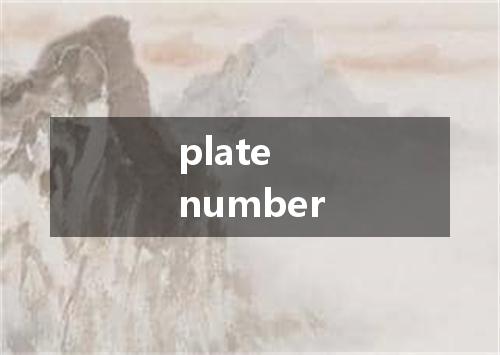 plate number是什么意思