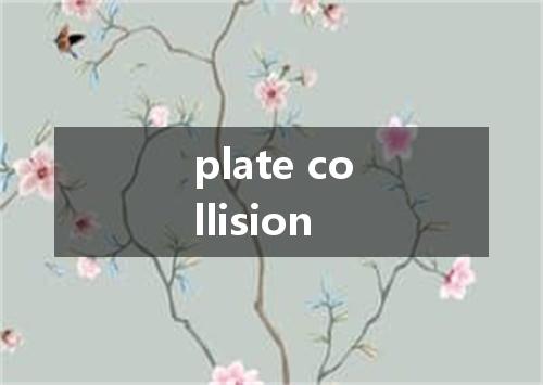 plate collision是什么意思