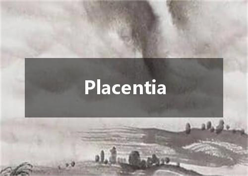 Placentia是什么意思