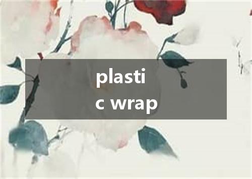 plastic wrap是什么意思