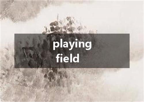 playing field是什么意思