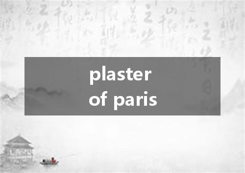 plaster of paris是什么意思