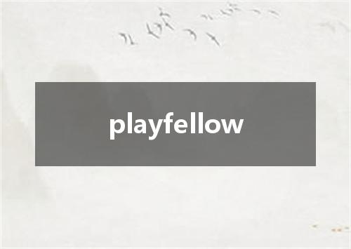 playfellow是什么意思