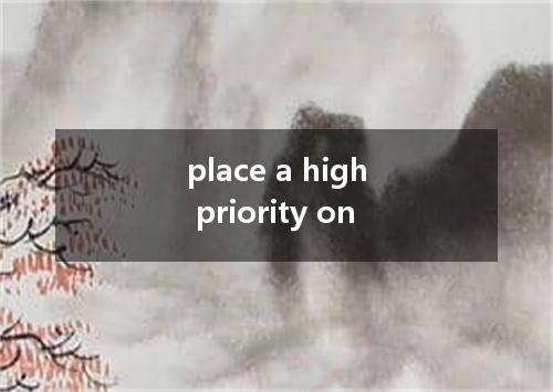 place a high priority on是什么意思