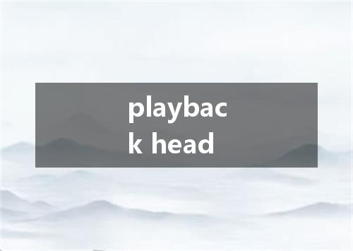 playback head是什么意思