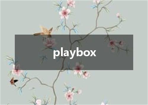 playbox是什么意思