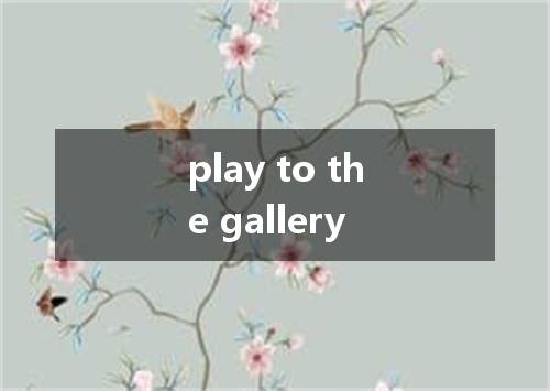 play to the gallery是什么意思
