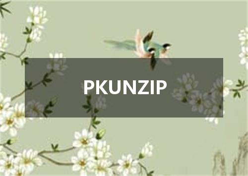 PKUNZIP是什么意思